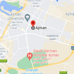 best movers in uae image